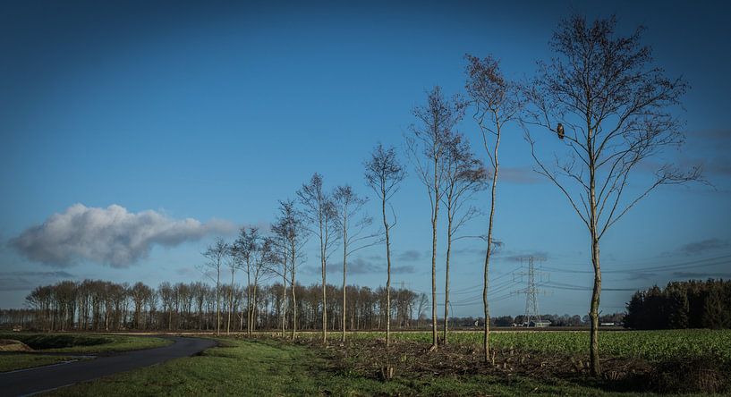 Valtherdijk, Valthermond, Drenthe. von Kees Rustenhoven