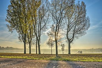Group of trees at Lake Kralingen by Frans Blok