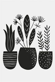 Black plants in the pot by haroulita