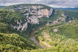Grüne Natur in Südfrankreich von Bianca Kramer