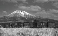 Chaud été au pied du Mont Shasta avec des wagons de chemin de fer, Californie / USA par Gerwin Schadl Aperçu