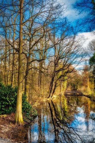 Schoonheid van de natuur weerspiegeling van bomen in water en brug in de herfst