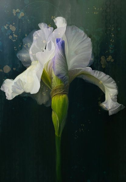 “Dare to stand alone” van NMG