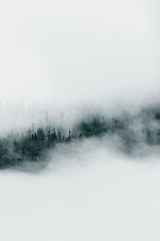 “The Silence of the Mist”