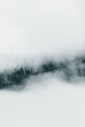 Nordic - 