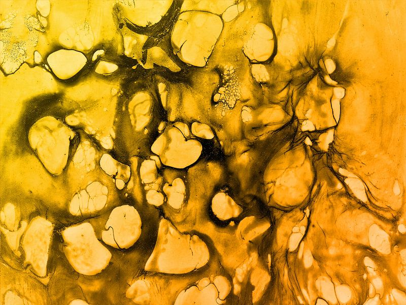Zellen 2 - gelb van Katrin Behr