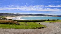 Curio Bay: Enchanting Blue Bay with Playful Dolphins by Be More Outdoor thumbnail