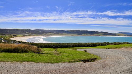 Curio Bay: Betoverende Blauwe Baai met Speelse Dolfijnen