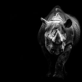 Neushoorn zwart/wit van Design Wall Arts