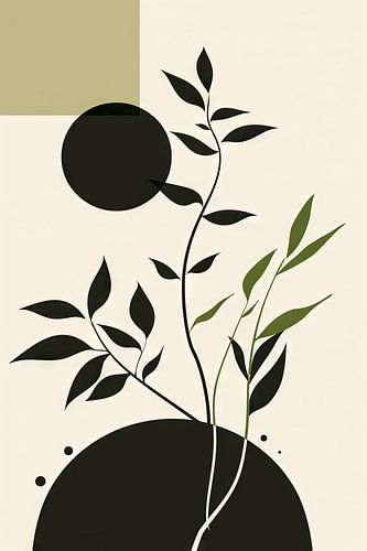 Plantes minimalistes