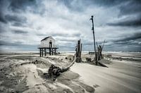 After the Storm II