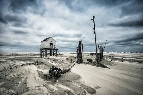 After the Storm II van Nanouk el Gamal - Wijchers (Photonook)