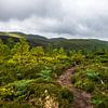 Azoren-Archipel, Terceira, wunderschöne Vulkaninseln im Atlantischen Ozean. von Marjolein Zijlstra