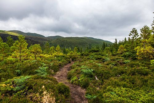 Azoren archipel, Terceira, prachtige vulkaaneilanden in Atlantische Oceaan.
