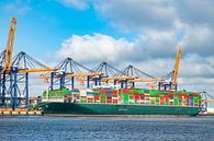 Containerschip aan de containerterminal in de haven van Rotterdam van Sjoerd van der Wal Fotografie thumbnail