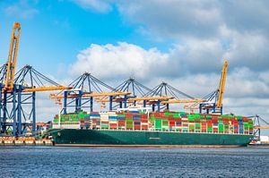 Containerschip aan de containerterminal in de haven van Rotterdam van Sjoerd van der Wal Fotografie