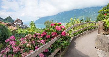 pictorial tourist resort Iseltwald, walkway along lake Brienzers by SusaZoom