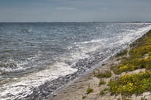 Waves at the fly dike in Wilhelmshaven
