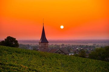 Zonsopgang in de wijngaarden van de Elzas van Tanja Voigt