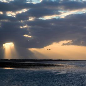 Sonnenuntergang auf dem Wattenmeer von Annie Snel