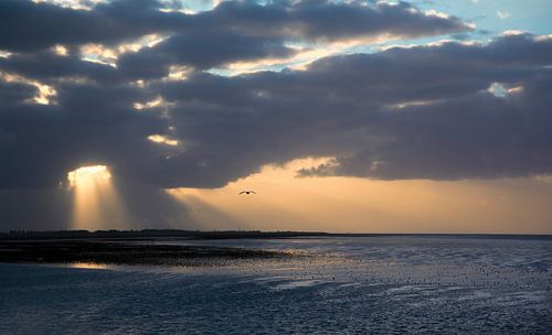Zonsondergang Waddenzee Lauwersoog