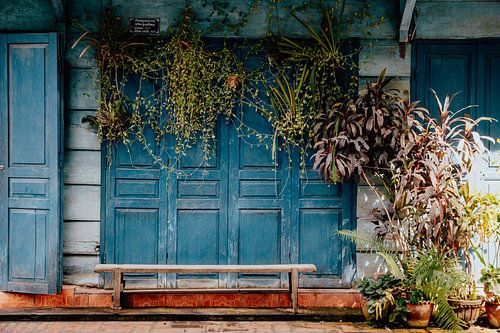 Blue wooden door in Vang Vieng | Laos | Travel Photo