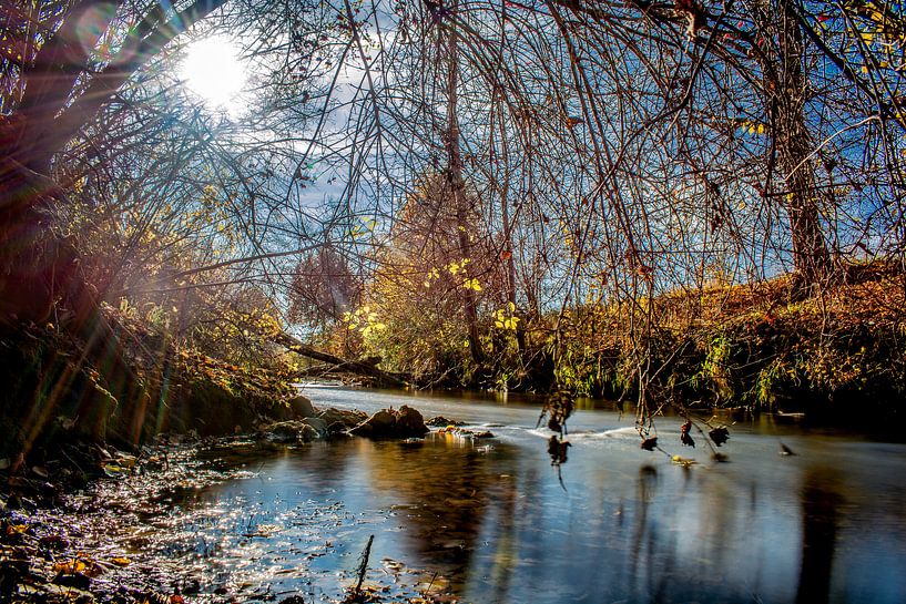 Baden-Württemberg : Die Dürnach von Photoart-Naegele