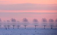 A very cold morning. 