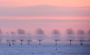 Ein sehr kalter Morgen.  von Anne Koop