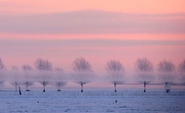 A very cold morning.  by Anne Koop
