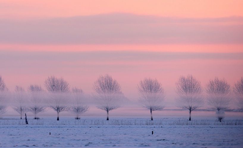 Ein sehr kalter Morgen.  von Anne Koop