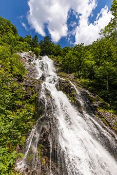 Todtnauer Wasserfall im Schwarzwald von Werner Dieterich