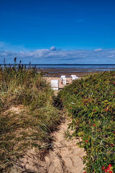 Auf dem Weg zum Strand von Thomas Riess
