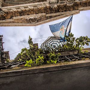 Porto XXI