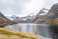 Berge