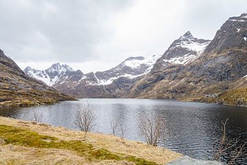 Gebergte van Veerle Sondagh