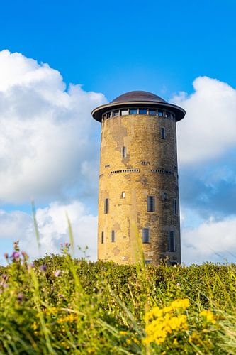 Le château d'eau de Domburg #317