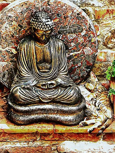 Veilige plaats voor een dutje