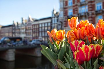 Tulpen in Amsterdam van Dirk Rüter