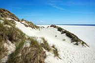 Nordsee - Strand, Meer und Dünen wie im Bilderbuch von Reiner Würz / RWFotoArt Miniaturansicht