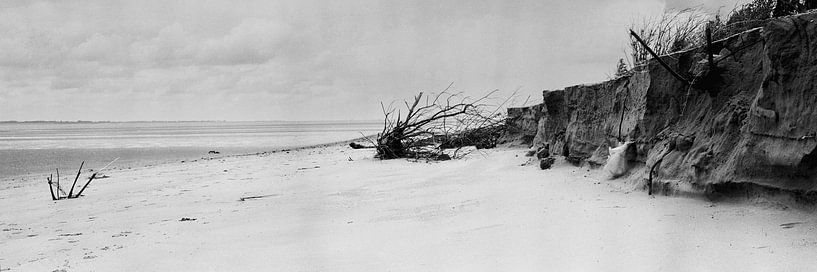 Paysage de dunes par Willy Lippens