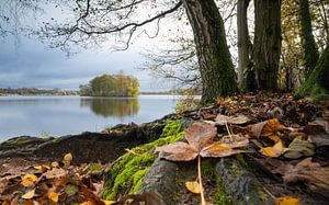 Unterbacher See, Düsseldorf, Deutschland