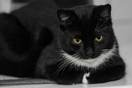 waken over de koffiepot von mick agterberg