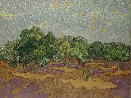 Olijfbomen met gele lucht en zon