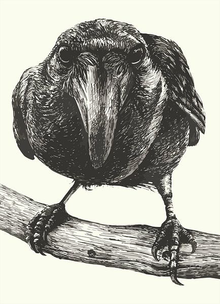 Intricate Raven Portrait on Branch by Ramy Salah Hefny