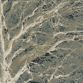 Unter den Zweigen von Yanuschka | Fotografie Noordwijk