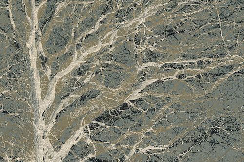 Among the branches by Yanuschka | Fotografie Noordwijk