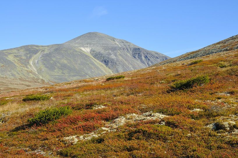Rondane Nationaal Park van Karin Jähne