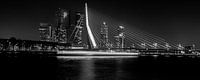 Erasmusbrug bij nacht