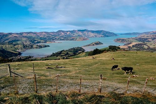 Banks Peninsula Nieuw-Zeeland